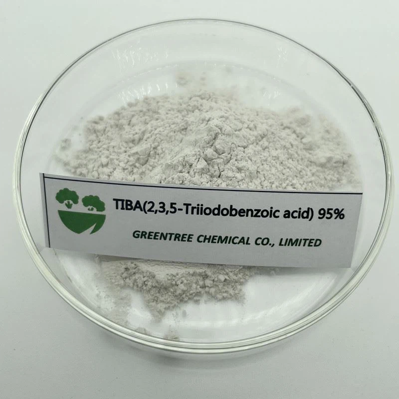Tiba Tiba