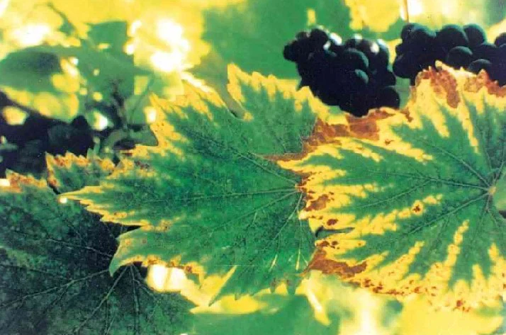 page-714-473 page-714-473