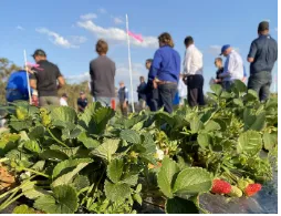 news-254-195 news-254-195