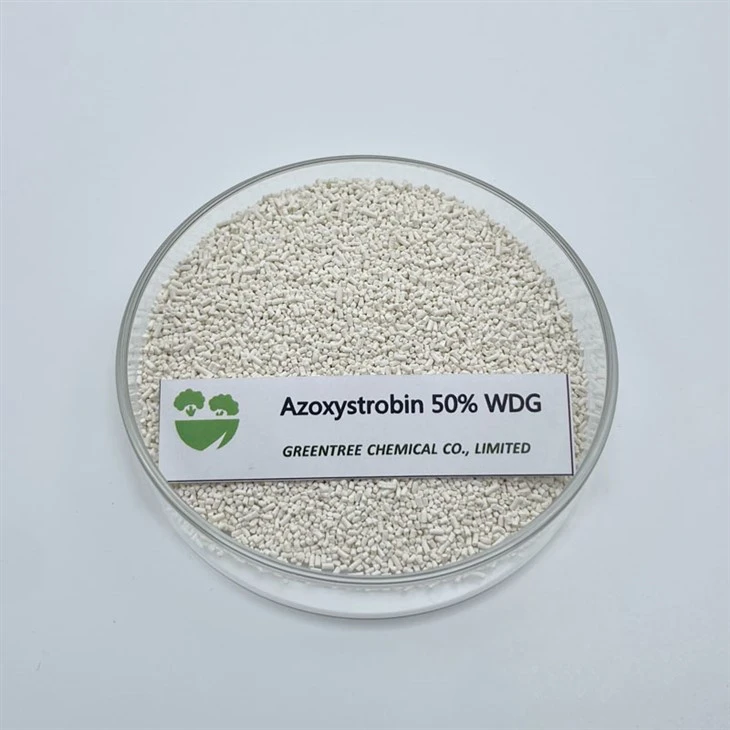 Azoxystrobin 50% Wdg Agricultural Chemicals Fungicide