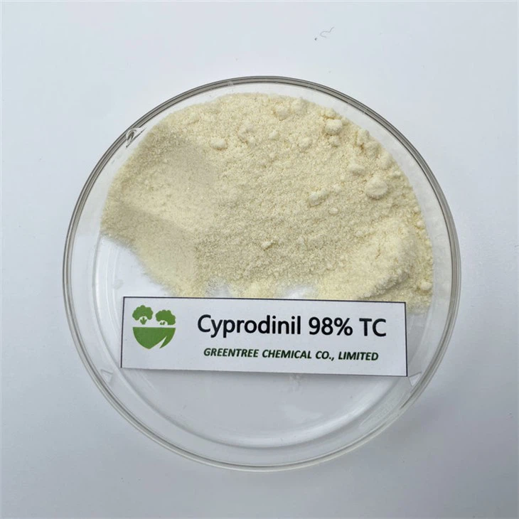 Fungicida técnico ciprodinil 98% Tc C14H15N3