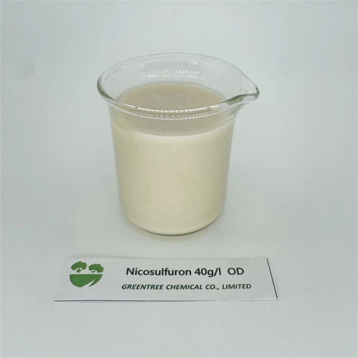 C15H18N6O6S Nicosulfuron 40 G/L OD mata el herbicida de malas hierbas