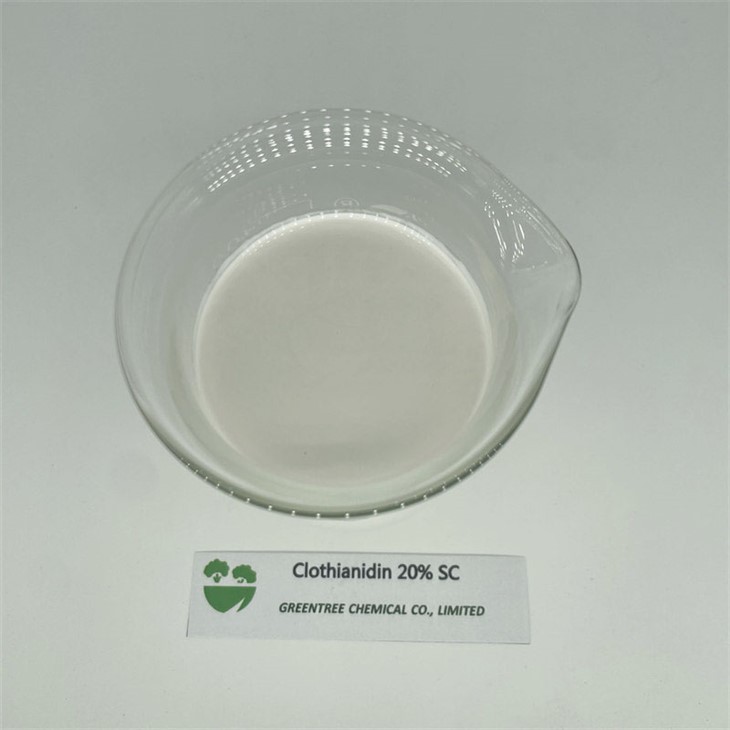 C6H8ClN5O2S Sustancias químicas agrícolas Insecticida Clotianidina 20 por ciento SC Proveedor de China