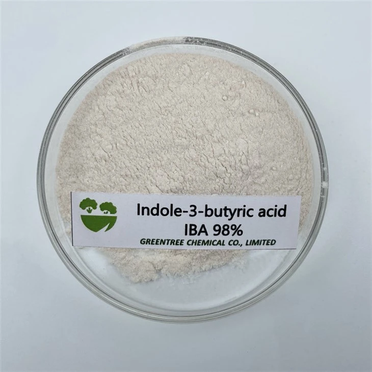 CAS NO. 133-32-4 Crop Growth Regulator Iba Indole-3-Butyric Acid 98%Tc