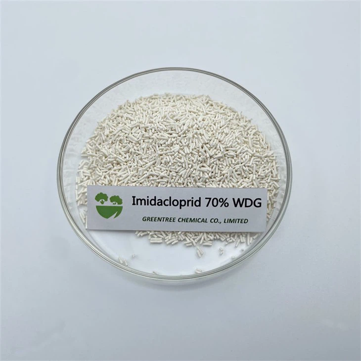 NO CAS. 138261-41-3 Granulado Imidacloprid 70 Wdg 70 por ciento Wdg