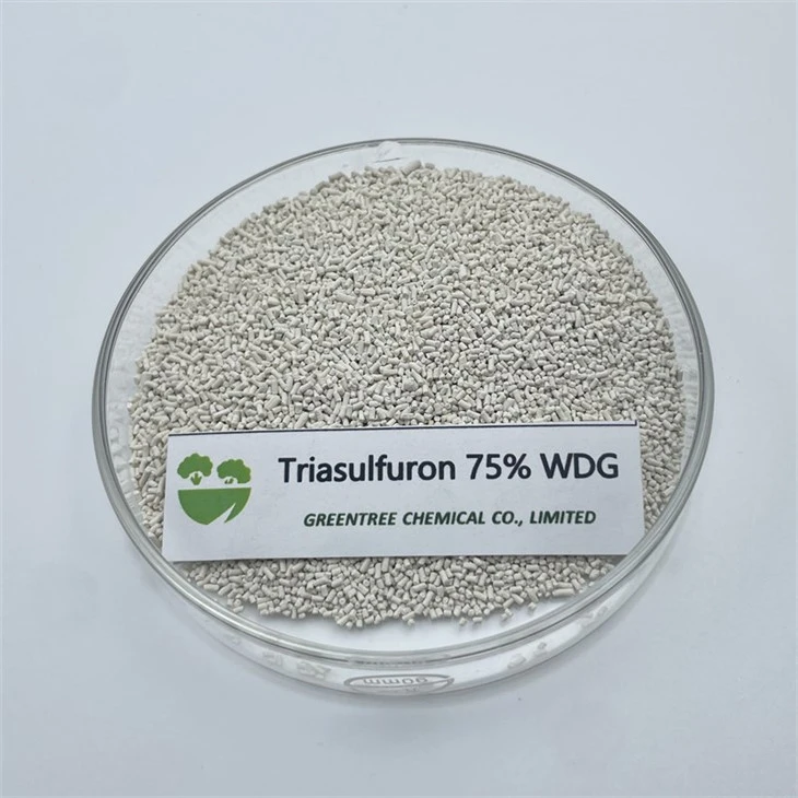 Herbicida Triasulfuron 75% Wdg para controlar las malezas de hoja ancha