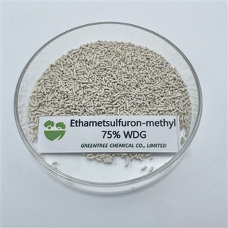 CAS 97780-06-8 Herbicida Etametsulfurón-metilo 75% Wdg