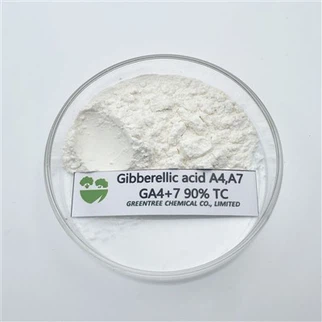 Reguladores de crecimiento de plantas de fabricación profesional Giberelina 90 por ciento Tc Ga4 más 7