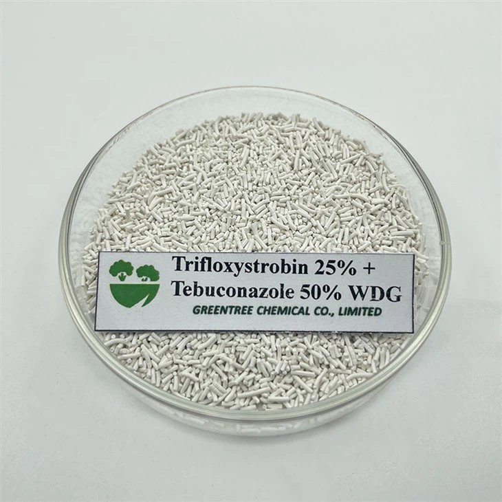 Fungicida pesticida de acción rápida y alta eficacia Trifloxistrobina 25% + Tebuconazol 50% WDG