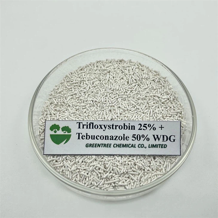 Fungicida de mezcla de alta calidad Trifloxistrobina 25% + Tebuconazol 50% WDG