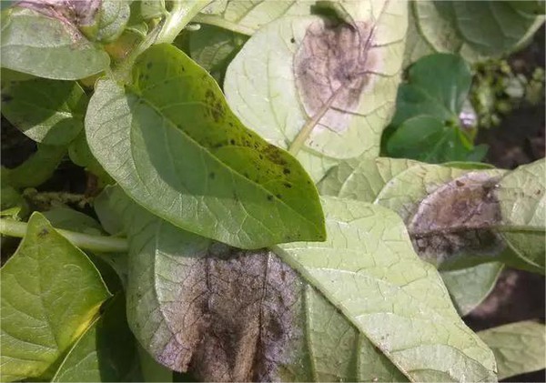 info-640-449 info-640-449