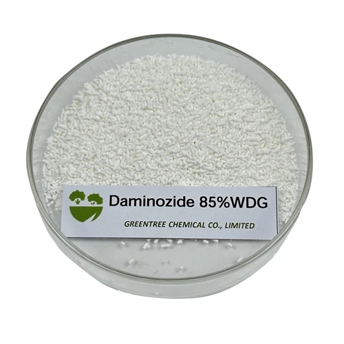 Un cliente de Vietnam solicitó con éxito Daminozide 85% WDG.
