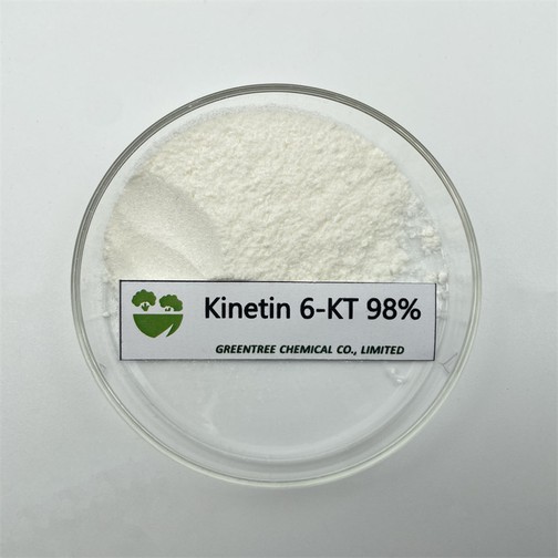 Kinetin 6-Kt Kinetin 6-Kt