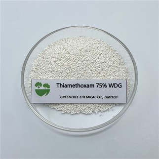 Plaguicida de alta pureza 75% WDG tiametoxam que controla las plagas de insectos Insecticida sistémico